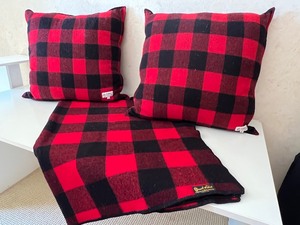 lot 56 image: Pair of Bemidji Woolen Mills Decorative Pillows & Woolrich Throw and Cute Bear