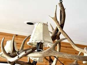 lot 118 image: Faux Antler Ceiling Light Fixture