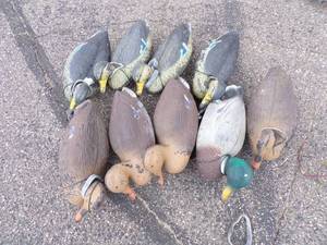 lot 92 image: Duck Decoys
