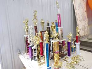 lot 133 image: Large Lot of Trophies