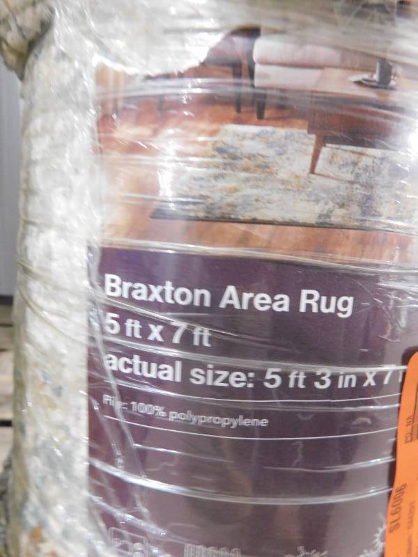Home Decorators Collection Braxton Multi 5 ft. x 8 ft. Abstract Area Rug