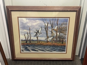 Framed Wildlife Print