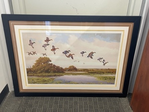 Framed Wildlife Print