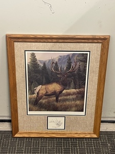 Framed Wildlife Print