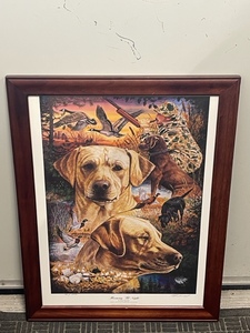 Framed Wildlife Print