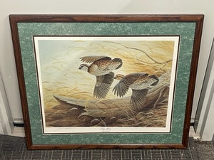 Framed Wildlife Print
