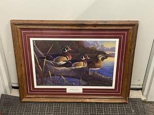 Framed Wildlife Print