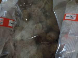 B 10 lb. Box Turkey Breakfast Sausage Links