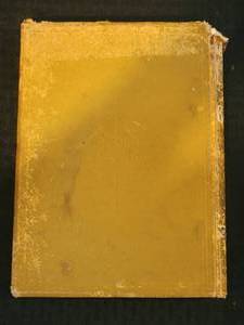 lot 103 image: Mary D. Brine - 1886 - From Gold to Grey