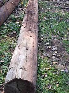 lot 845 image: 44 Wood Pole
