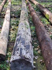 lot 847 image: 31 Wood Pole