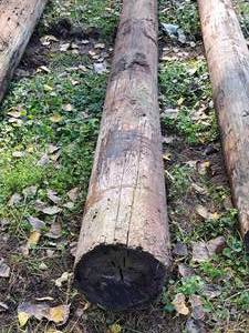 lot 849 image: 35 Wood Pole