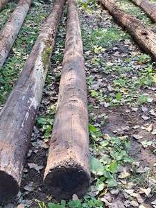 lot 852 image: 35 Wood Pole