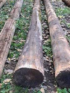 lot 853 image: 35 Wood Pole