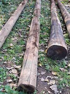 lot 854 image: 28 Wood Pole