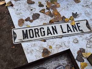 lot 903 image: Morgan Lane Metal Street Sign