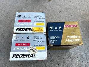 lot 81 image: 20 Gauge Shotshells