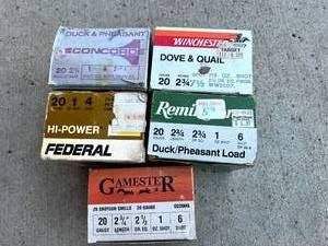 lot 101 image: 20 Gauge Shotshells