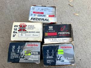 lot 107 image: 12 Gauge Shells