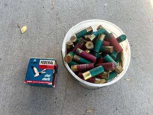 lot 108 image: 12 Gauge Shells