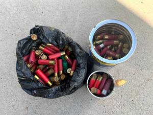 lot 113 image: 12 Gauge Shells