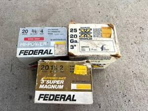 lot 137 image: 20 Gauge Shells