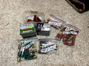 lot 186 image: 12 Gauge Shotgun Shells