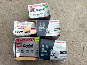 lot 203 image: 12 Gauge Shells