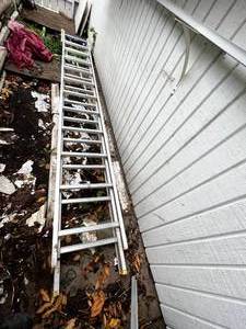 lot 259 image: 24 Werner Ever Level Extension Ladder