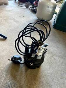 lot 314 image: 13 HP UtilityPond Pump