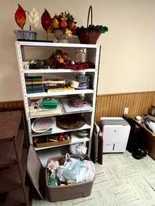 lot 447 image: Everything on Shelf & In Box & Tote