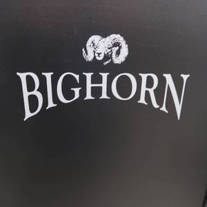 lot 9 image: BIGHORN METAL LOCKING GUN CABINET
