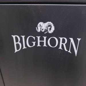 lot 11 image: BIGHORN METAL LOCKING GUN CABINET