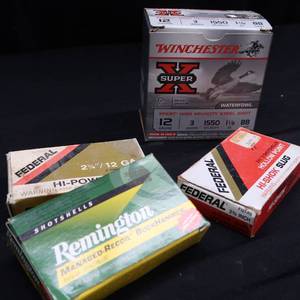 lot 24 image: AMMO
