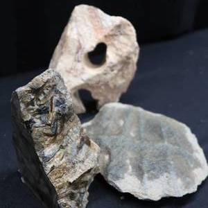 lot 32 image: 3 UNIQUE ROCKS  FOSSILS