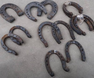 lot 57 image: 13 NEW ASSORTED SIZED HORSE SHOES.