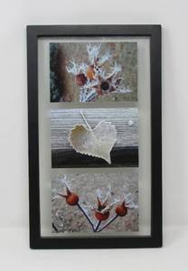 Framed photography  Leave & Berries   bird