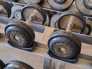 lot 1021 image: Lot of (2) Hampton 15-lb Dumbells