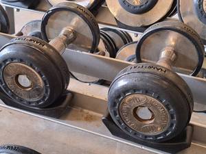 lot 1022 image: Lot of (2) Hampton 10-lb Dumbells