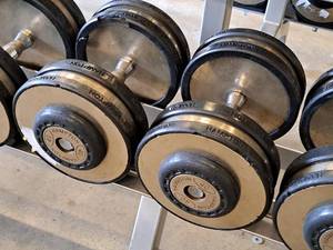 lot 1017 image: Lot of (2) Hampton 40-lb Dumbells