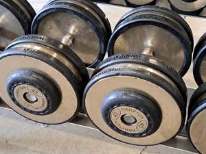 lot 1016 image: Lot of (2) Hampton 45-lb Dumbells