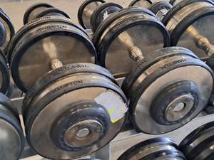 lot 1012 image: Lot of (2) Hampton 65-lb Dumbells