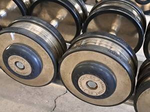 lot 1008 image: Lot of (2) Hampton 85-lb Dumbells