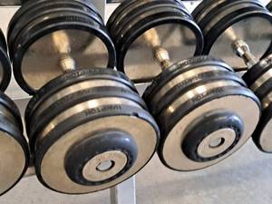 lot 1007 image: Lot of (2) Hampton 90-lb Dumbells