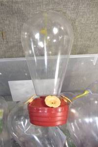 lot 223 image: Lot of 17 Humming Bird Feeder 9 - 1 Bonus Mini Feeder
