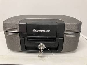 lot 413 image: SentrySafe 0.28 cu. ft. Fireproof & Waterproof Safe Box
