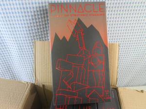 lot 24 image: (F-1) Case of 4 Pinnacle Stacking G...