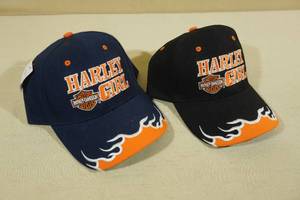 lot 9 image: 2 Harley Davidson Hats