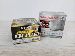 lot 598 image: 50 Rounds of 20 Gauge Shotgun Shells