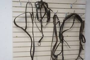 harness
